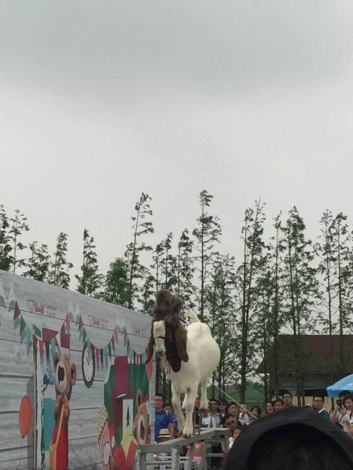 CA88(�й�)Ψһ�ٷ���վ���