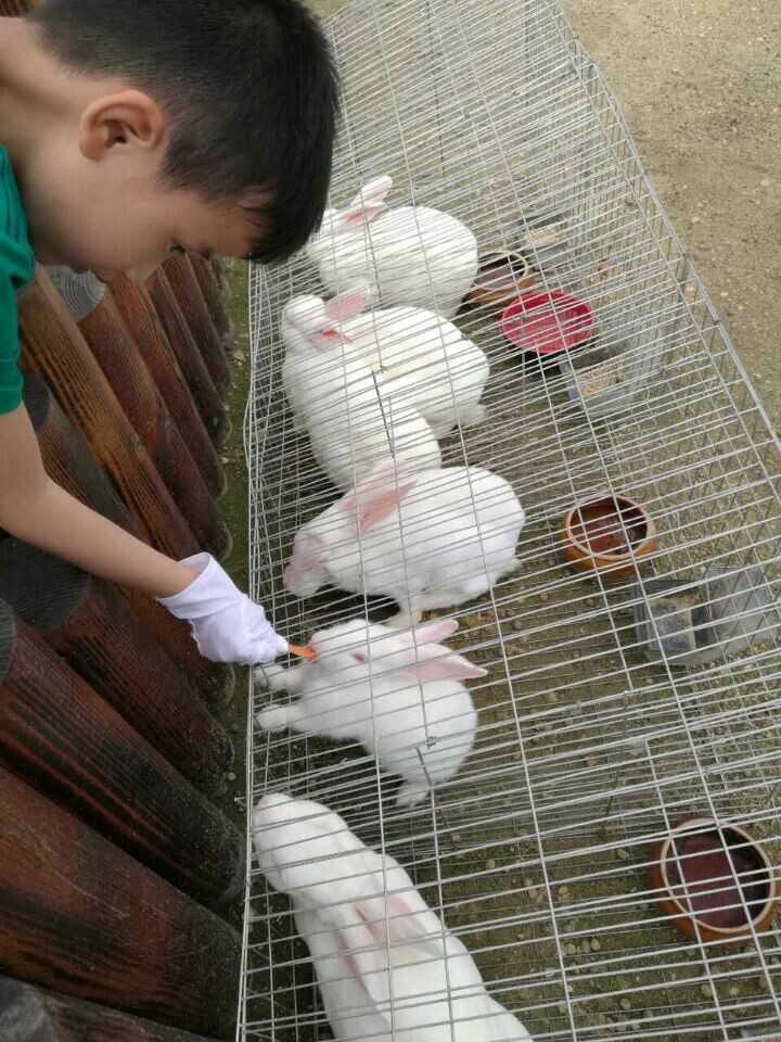 CA88(�й�)Ψһ�ٷ���վ���