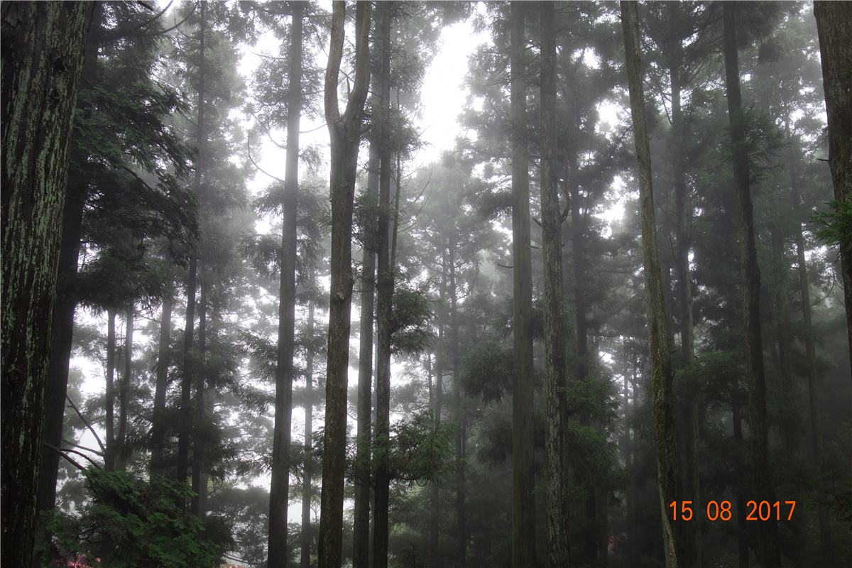 CA88(Öйú)Ψһ¹Ù·½ÍøÕ¾Èë¿Ú