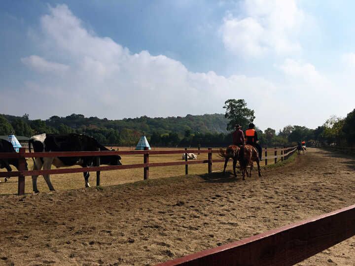 CA88(�й�)Ψһ�ٷ���վ���