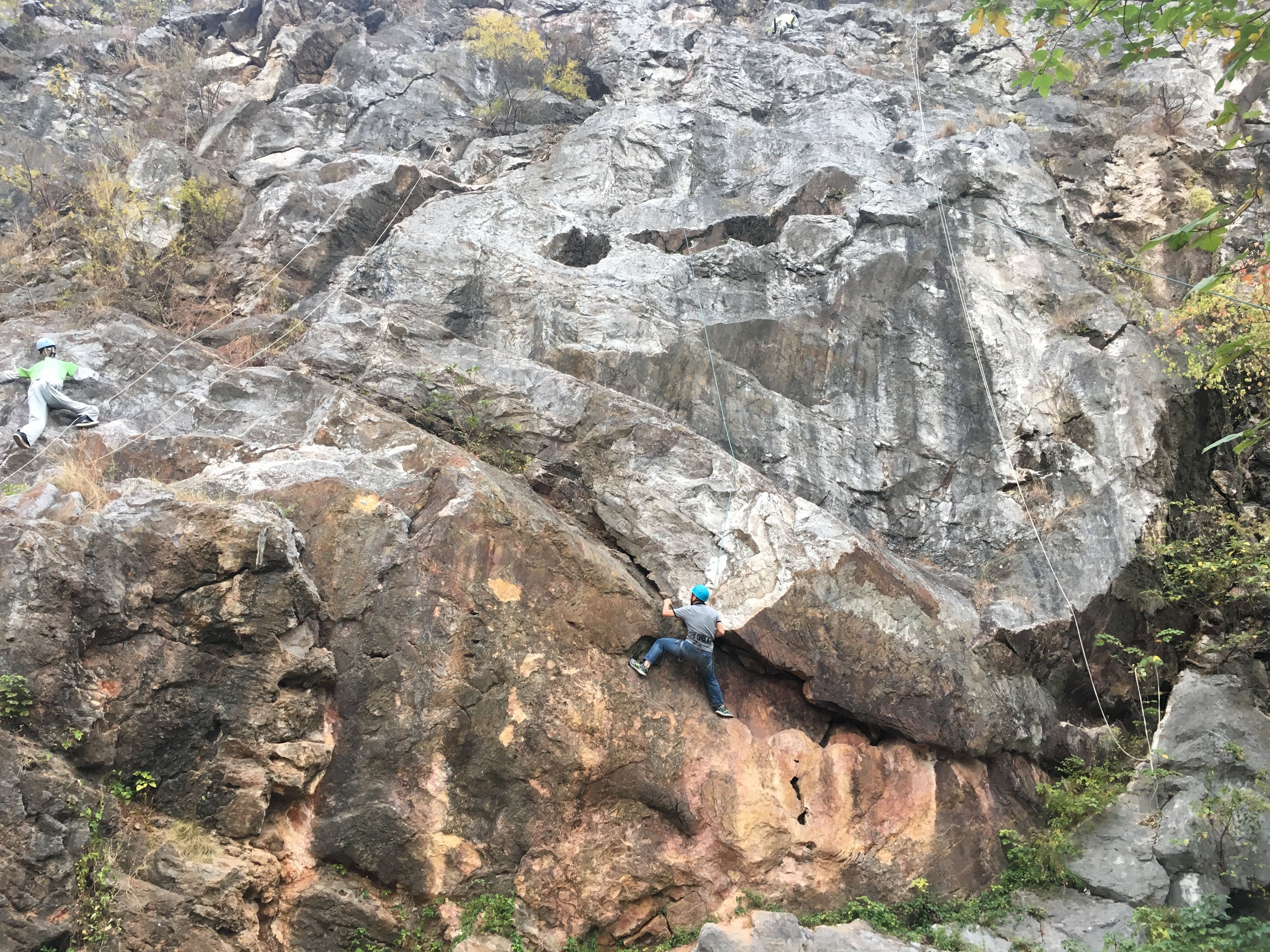 CA88(�й�)Ψһ�ٷ���վ���