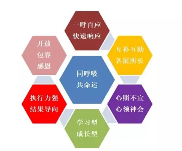 CA88(�й�)Ψһ�ٷ���վ���