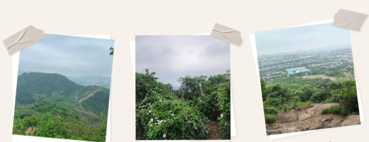 CA88(Öйú)Ψһ¹Ù·½ÍøÕ¾Èë¿Ú